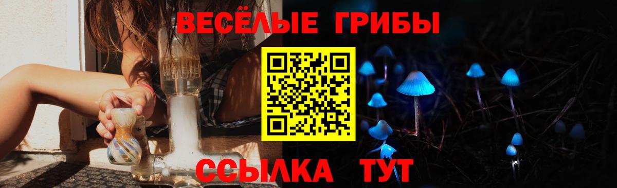 Рыбинск  Псилоцибиновые грибы прущие грибы  Вход с VPN  Псилоцибиновые грибы GOLDEN TEACHER 